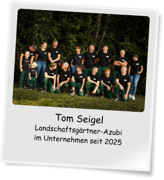 Tom Seigel Landschaftsgrtner-Azubi im Unternehmen seit 2025